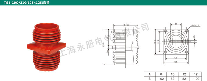 TG1-10Q/210(125x125)套管